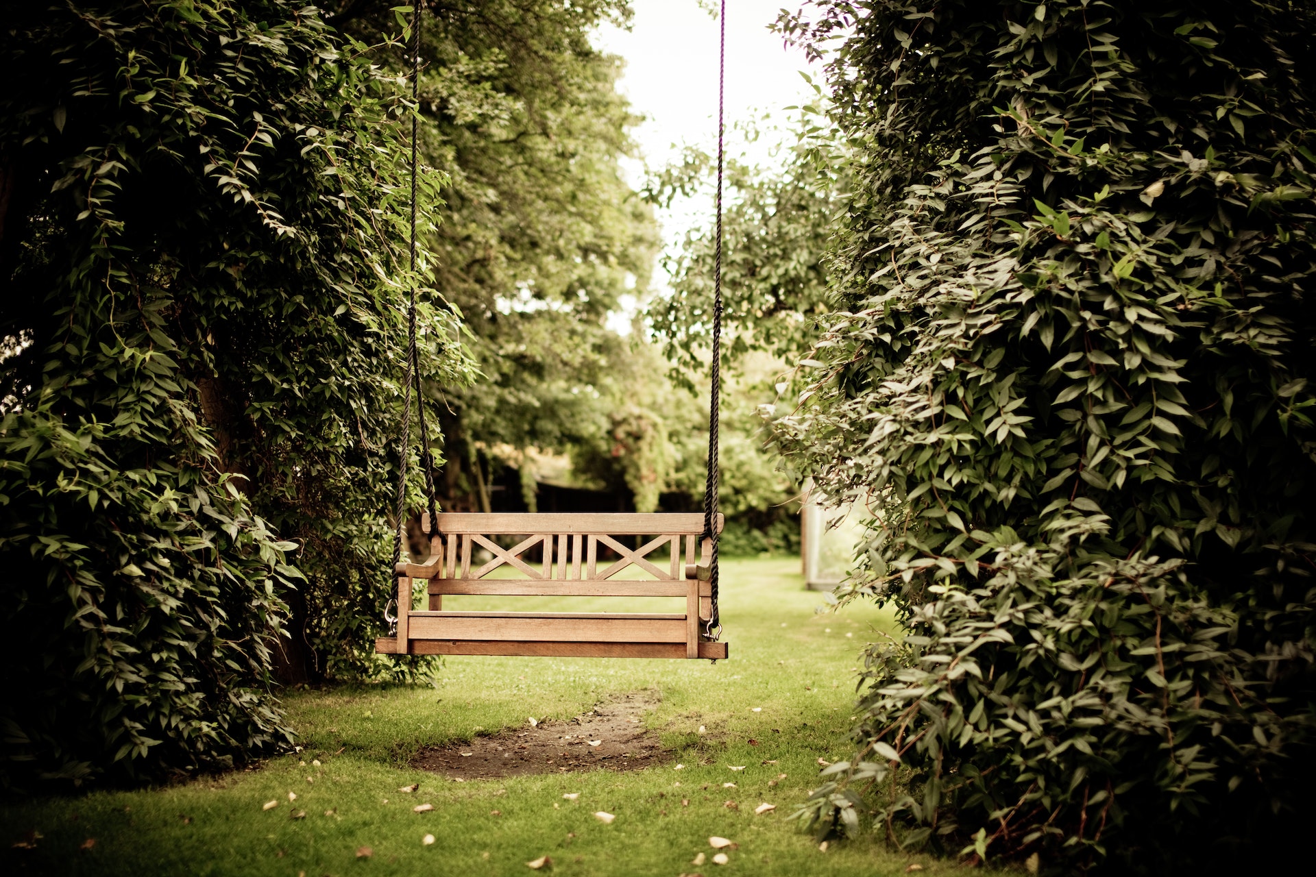 A fresh perspective in landscape design